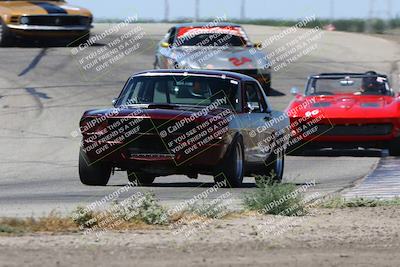 media/May-19-2024-VARA (Sun) [[bc1adde764]]/Group 5/Race (Outside Grapevine)/